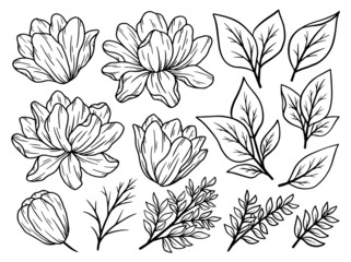 Hand drawn flower sketch line art illustration set.