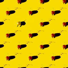 beautiful summer pattern of gooseberry.