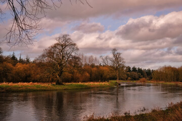 Fototapeta na wymiar Bank of the river in autumn