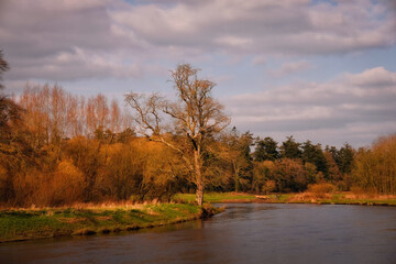 Bank of the river in autumn