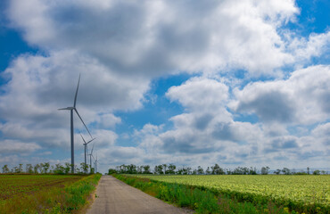 Fototapeta na wymiar wind turbine generator under a blue sky