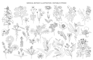 Vector set flowers illustration. 28 elements with botanical flowers outline with leaves in black isolated on white background. Ornate contour Anthurium flowers for summer design or coloring book