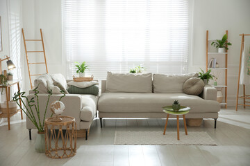 Stylish living room interior with comfortable grey sofa and plants © New Africa
