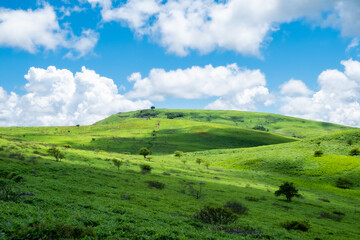 Obraz premium のどかな風景