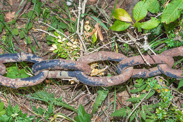 Rusty chain close up on the grass