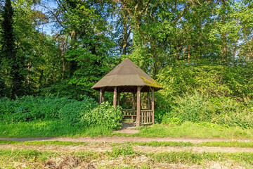 Image of a hiker's shelter in a forest path in summer