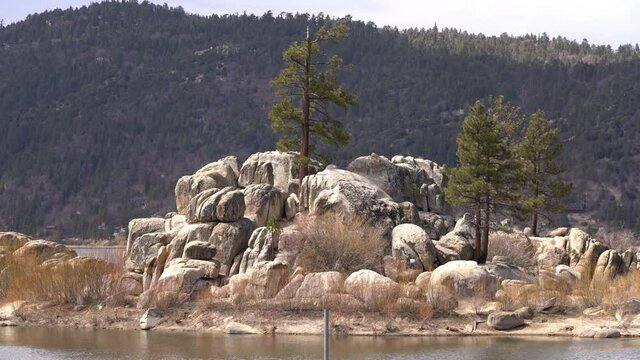 Big Bear Lake Pine Trees on Boulder Bay San Bernardino Mountains California USA