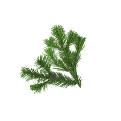 Fir tree branches isolated on white background for Christmas, New Year or winter scene. Xmas and Happy New Year holiday concept. New Year greeting card. Flat lay, top view style with copy space