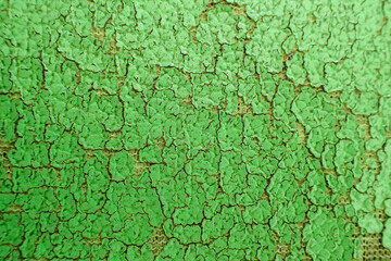 selective focus, old green leather seat surface Dry and cracked, you can see the fabric inside.