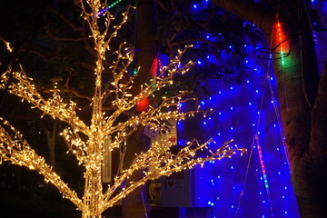 イルミネーション