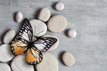 Flat lay composition with grey spa stones and butterfly.