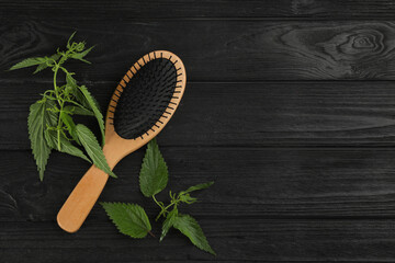 Fototapeta na wymiar Stinging nettle and brush on black wooden background, flat lay with space for text. Natural hair care