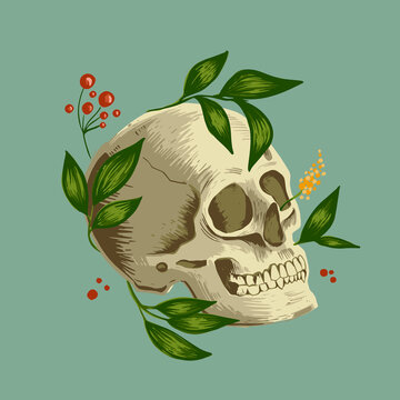 Cartoon skull illustration. Beautiful natural background. Vector silhouette. Beautiful summer nature background. Tattoo design. Poster design.