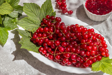 Bunches of fresh harvested red currant berries on its green leaves