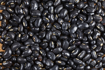 Black Eyed Peas background.