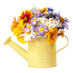 Yellow watering can with beautiful flowers isolated on white