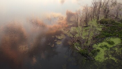 morning mist over the river