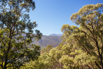Scammells Ridge Lookout in Australia