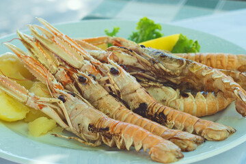 Delicious Croatia seafood platter - grilled langoustine shrimps from fresh catch of the day