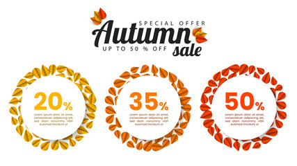 Autumn sale. Infographic design template with fall leaves