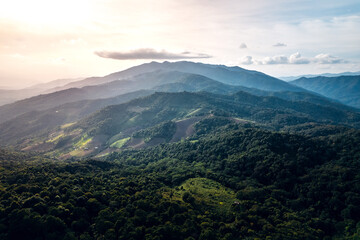 Mountains and summer green forests