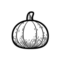 illustration of a pumpkin, black and white pumpkin line drawing