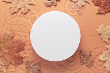 Minimal cosmetic background with autumn leaves. White round podiums on blurred transparent clear...
