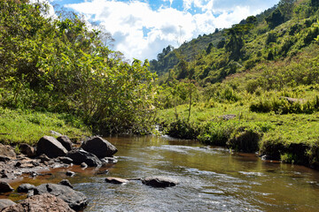Obraz premium Scenic view of a river in the forest at Aberdares, Kenya