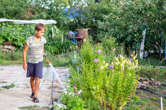 boy in the garden watering the plants with a hose