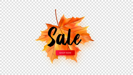 Seasonal autumn sale template.