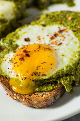 Healthy Organic Pesto Egg Toast