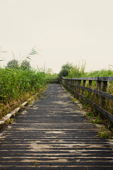 Fototapeta premium wooden bridge over the river