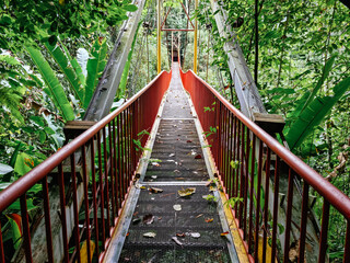 Fototapeta na wymiar Landscape view from bridge in the forest
