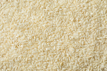 Raw White Organic Arborio Rice