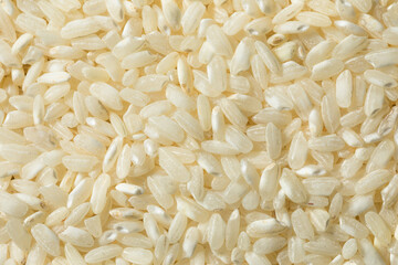 Raw White Organic Arborio Rice