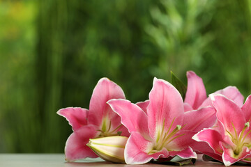 Beautiful pink lily flowers on table outdoors, space for text