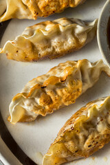 Homemade Korean Beef Mandu Potstickers