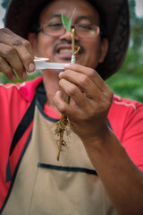 Gardener make grafting durian tree. Gardener use white tape  for plant propagation