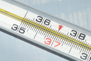 a mercury thermometer shows a temperature of 37