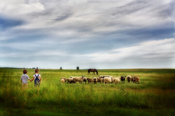 A girl and a boy are standing on a green meadow holding hands and looking at a flock of sheep