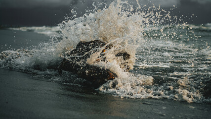 Splashing Sea On Tree Log