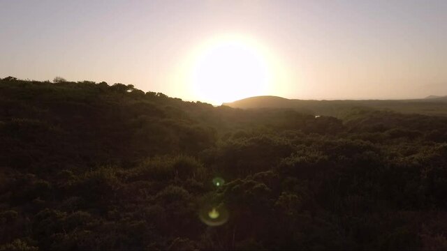 AERIAL - Sunset over green California