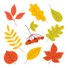 Fototapeta premium Set of Autumn Leaves. Flat Illustration Isolated on White Background. Simple Colorful Flat Style.