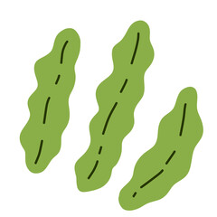 Kelp. Sea cabbage. Green leaves of laminaria. Edible algae. Vegetarianism and natural food. Flat cartoon illustration