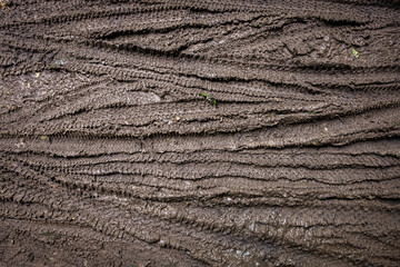Bicycle tyre tracks in mud