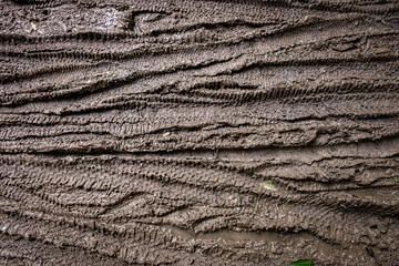 Bicycle tyre tracks in mud