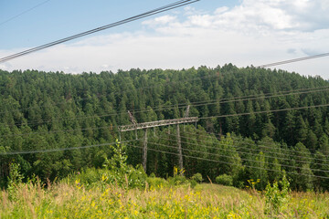 Electric transmission lines in the middle of a dense forest.