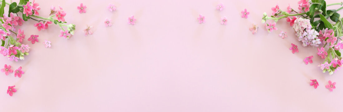 Top view image of pink flowers composition over pastel background .Flat lay. Banner