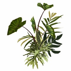 Composition of palm leaves, exotic plants. Art print for travel, fashion, spa and wellness, weddings.