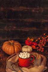 Autumn still life on a wooden background with cocoa mug and marshmallows, checkered scarf, pumpkins, leaves